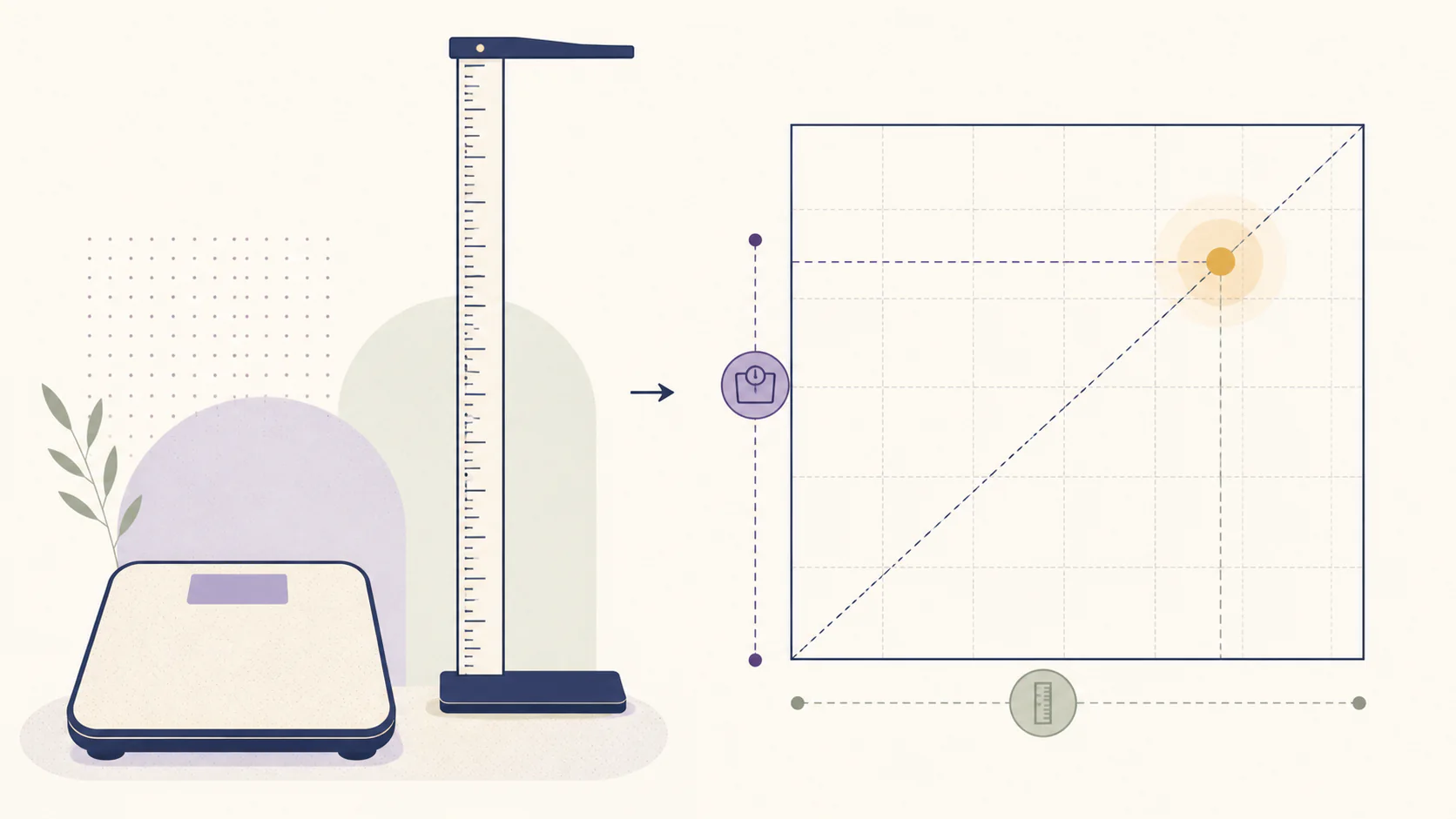 Neutral geometrisk illustration af vægt divideret med højden i anden